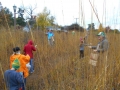 Elmhurst Prairie Work Day